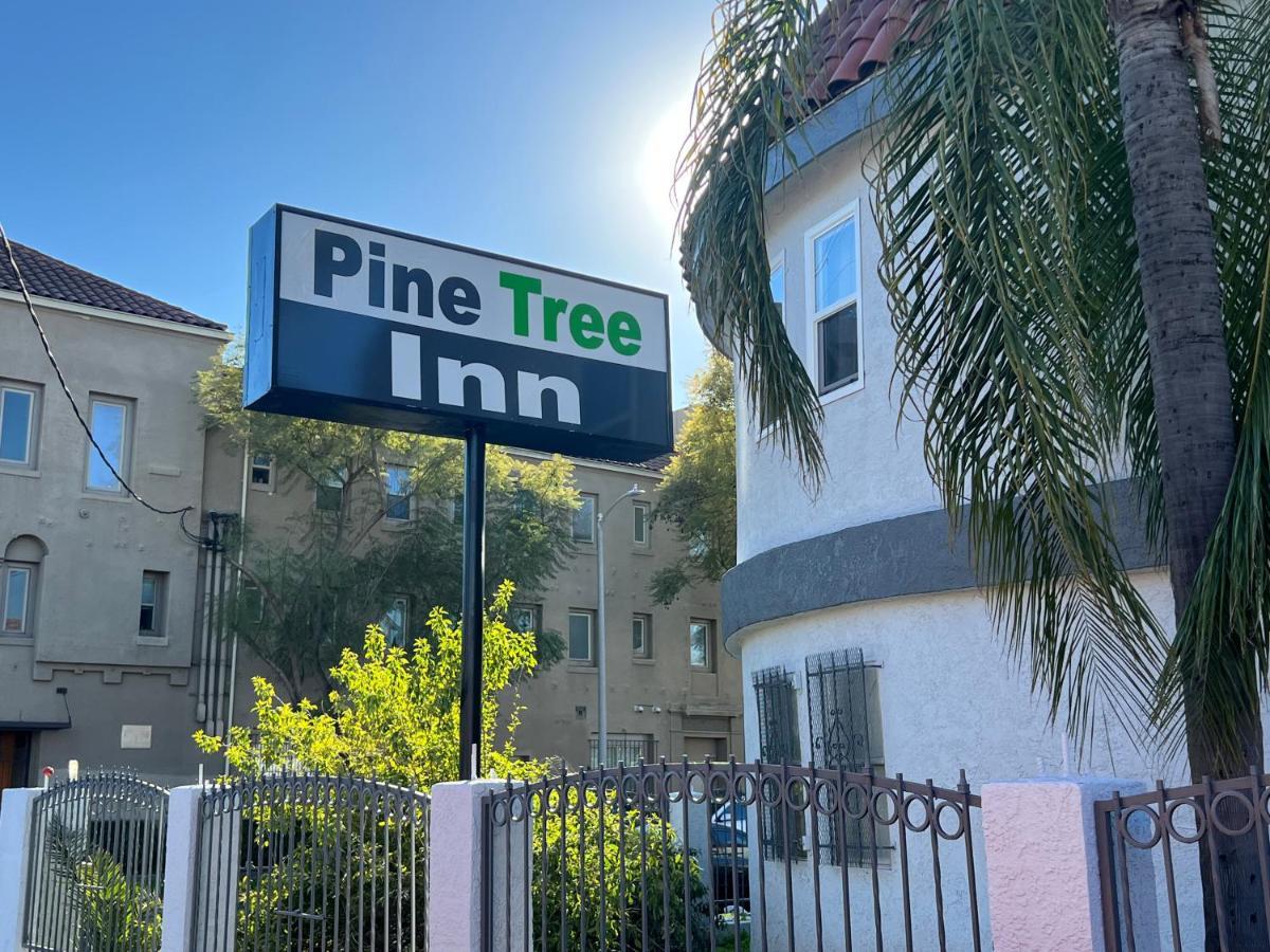 Pine Tree Inn — Photos 2